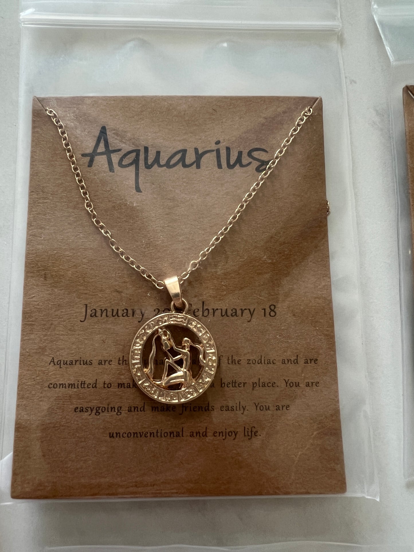 Zodiac Pendant Neckless